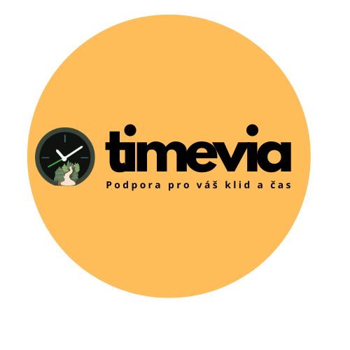 Virtuální asistentka